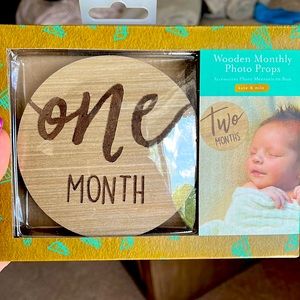 Wooden monthly photo props